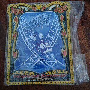 Disney California Adventure: California Screamin Roller Coaster Frame